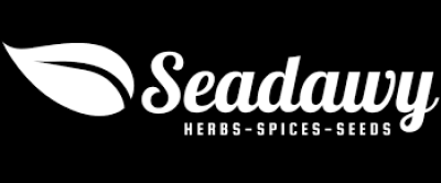 مصمم ازياء عبر الانترنت 